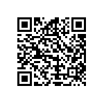 Y17463K33000T9R QRCode