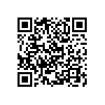 Y17463K68086B9L QRCode