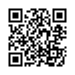 YB4503 QRCode